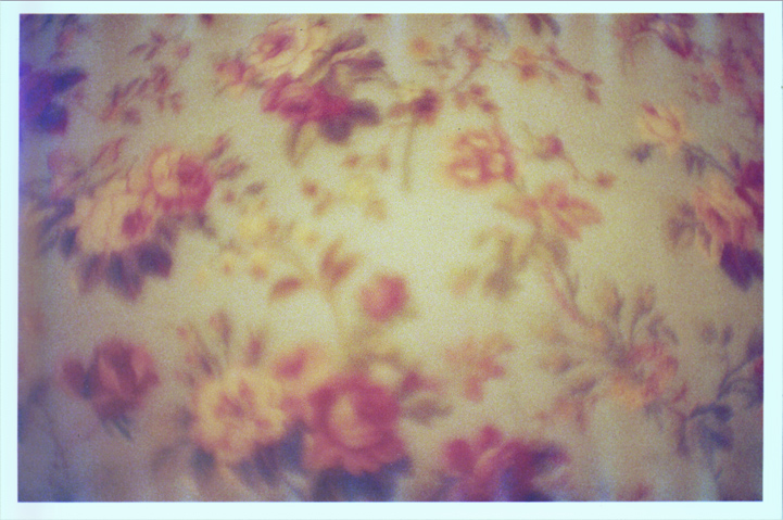 floral_pattern_photo